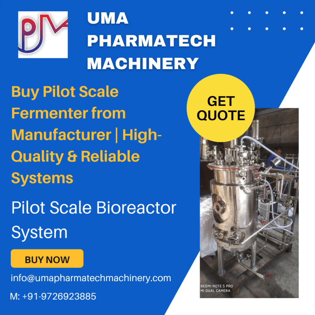 Pilot Scale Fermenter Bioreactor Manufacturer