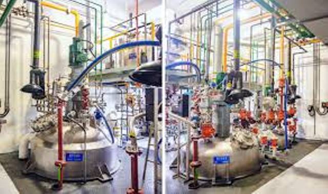 Fermenter Bioreactor Manufacturer in Vadodara