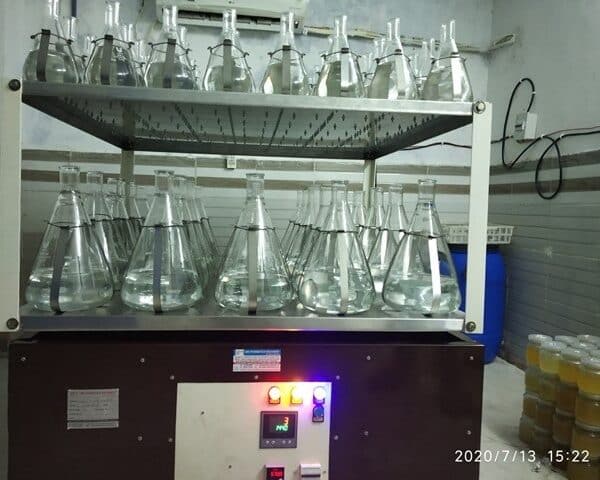 Lab Shaker Manufacturer in India