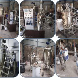 Fermenter Manufacturers in Thailand-Pilot Scale Fermenter